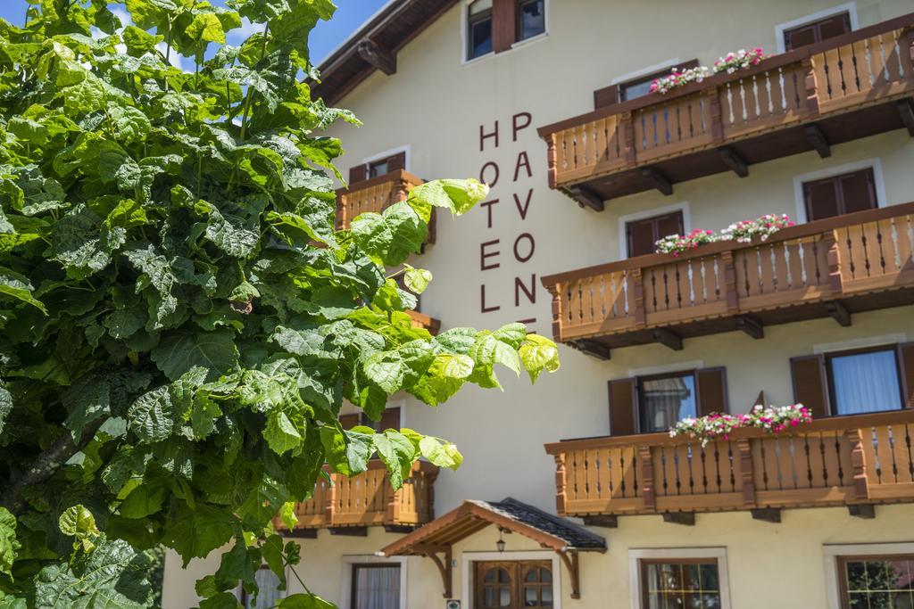 Hotel Pavone Andalo Esterno foto